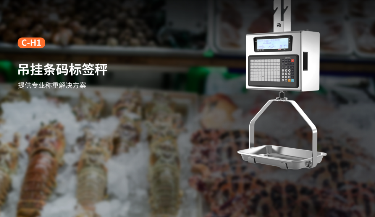 汉印壹佳一C-H1水产悬挂电子秤