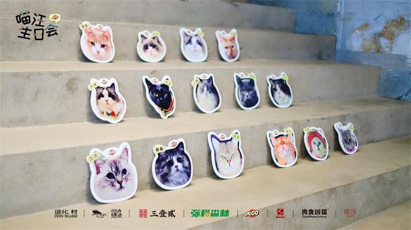喵的生日会 1 喵的生日会 1